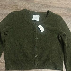 Brand new: Aerie green sweater with buttons